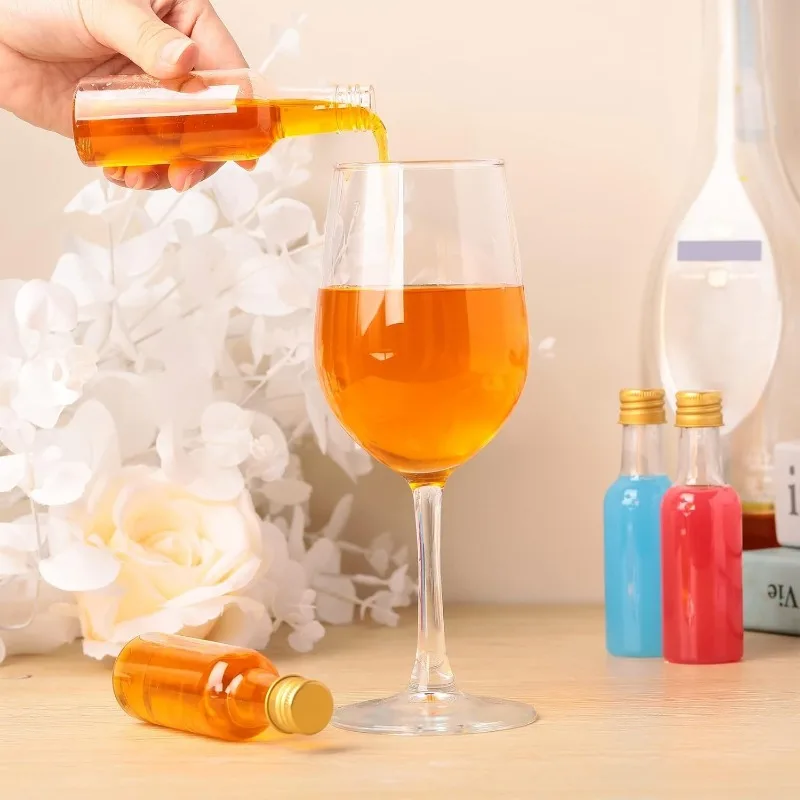 Mini Plastic Wijnfles Pak 10/3 - Meal Prep Juice Bottles recensie en prijs