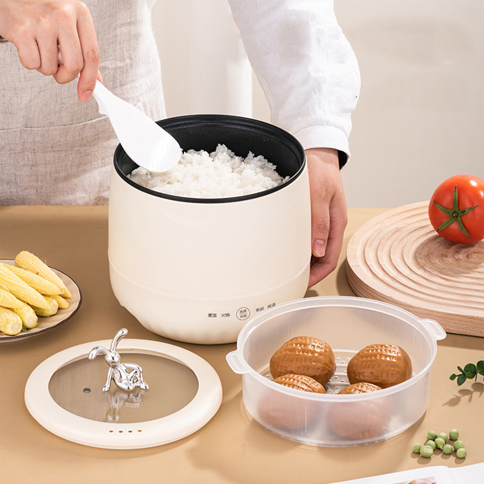 Slimme elektrische mini-rijstk - Meal Prep Healthy recensie en prijs