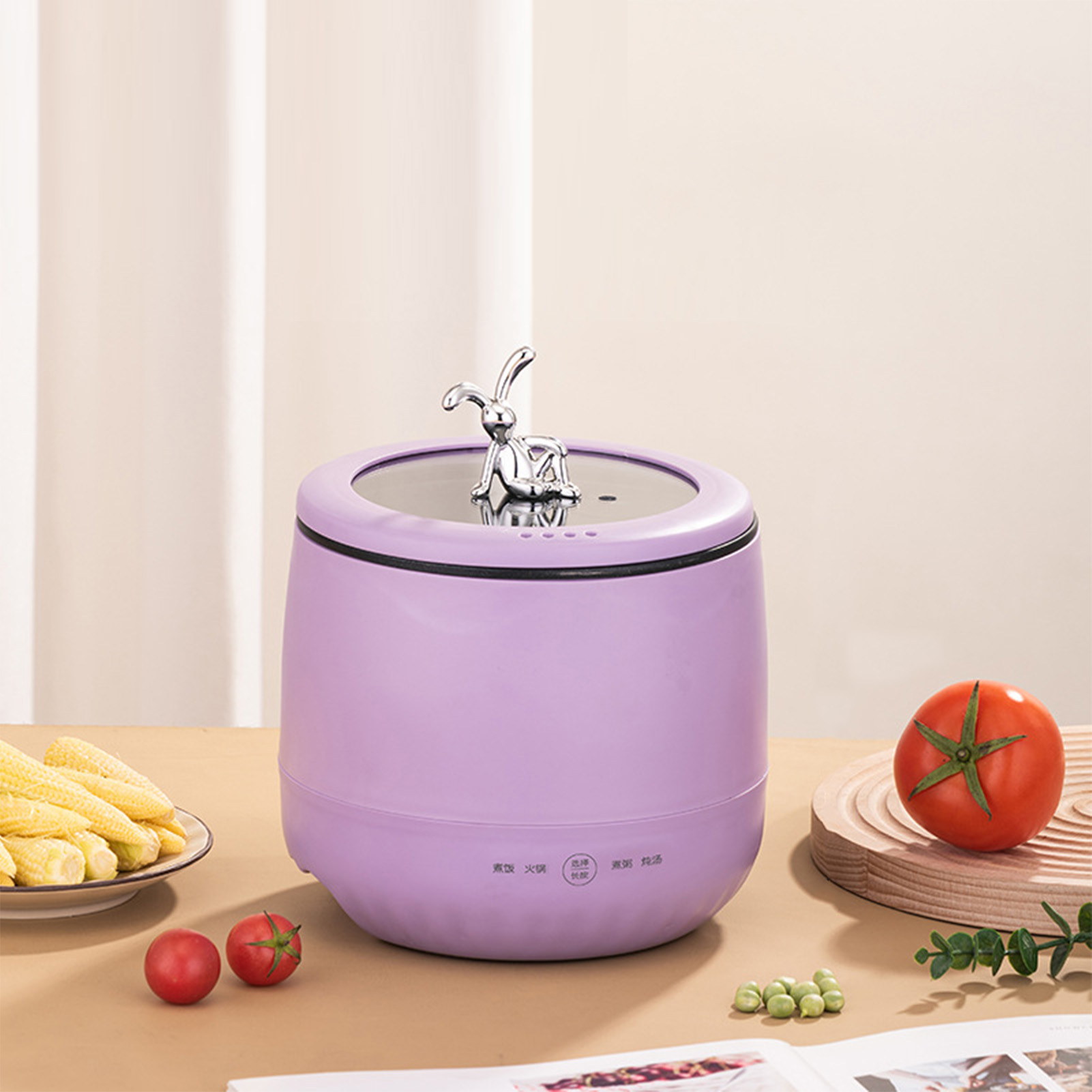 Slimme elektrische mini-rijstk - Meal Prep Healthy recensie en prijs
