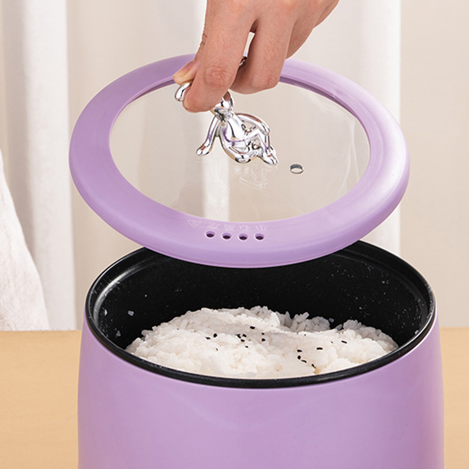 Slimme elektrische mini-rijstk - Meal Prep Healthy recensie en prijs