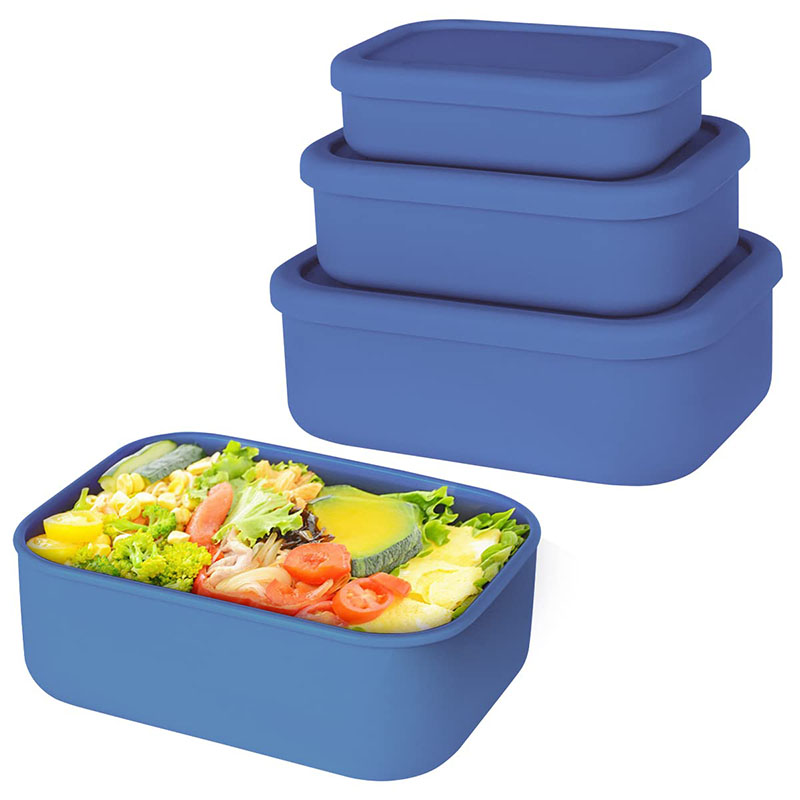 Lekvrije Bento Lunchbox Herbru - Meal Prep Kits recensie en prijs